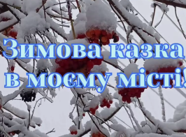 Знімок екрана 2026 02 06 115015